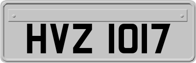 HVZ1017