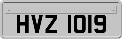 HVZ1019
