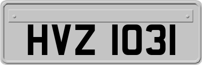HVZ1031