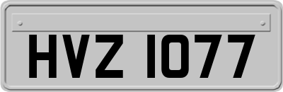 HVZ1077