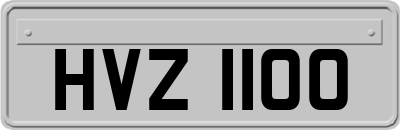 HVZ1100