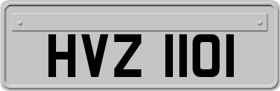 HVZ1101