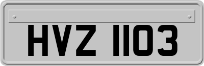 HVZ1103