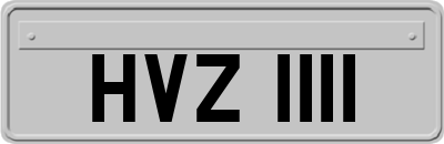 HVZ1111