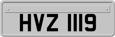 HVZ1119