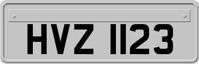 HVZ1123