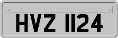 HVZ1124