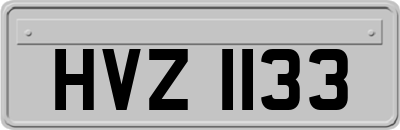 HVZ1133