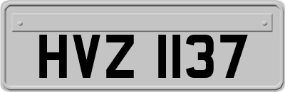 HVZ1137