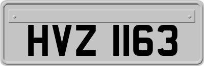 HVZ1163
