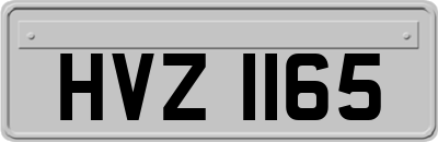 HVZ1165