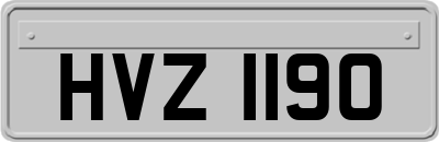 HVZ1190