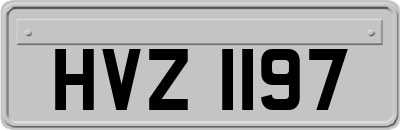 HVZ1197
