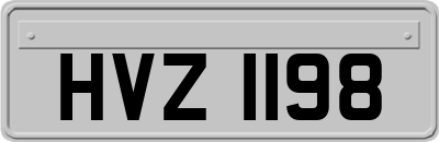 HVZ1198