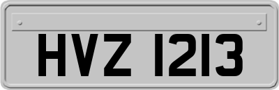 HVZ1213
