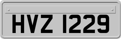 HVZ1229
