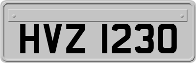 HVZ1230