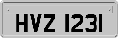HVZ1231
