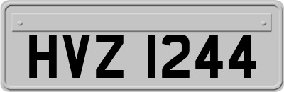 HVZ1244