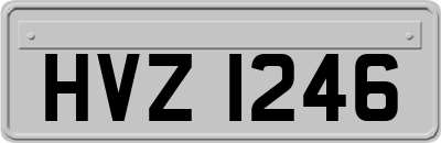 HVZ1246