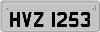 HVZ1253