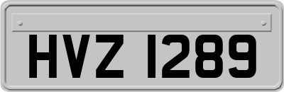 HVZ1289