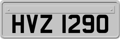 HVZ1290
