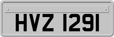 HVZ1291