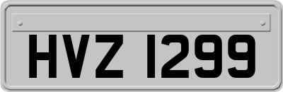 HVZ1299
