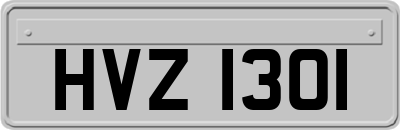 HVZ1301