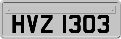 HVZ1303