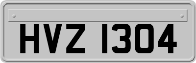 HVZ1304