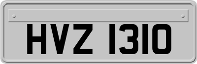 HVZ1310