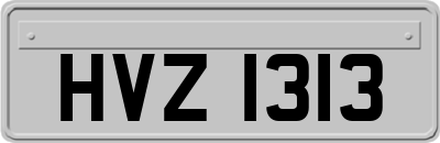 HVZ1313