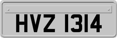 HVZ1314