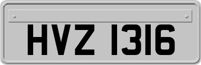 HVZ1316