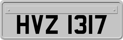 HVZ1317
