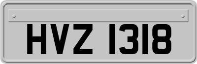 HVZ1318
