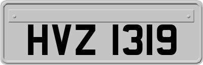 HVZ1319