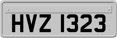 HVZ1323