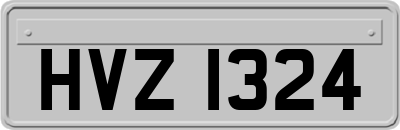HVZ1324