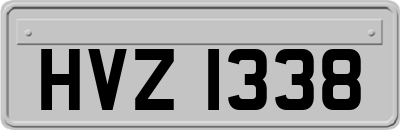 HVZ1338