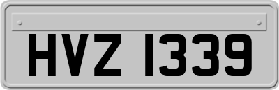 HVZ1339