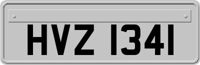 HVZ1341