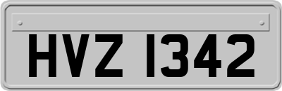 HVZ1342