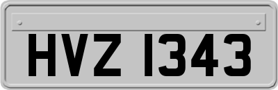 HVZ1343