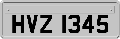 HVZ1345