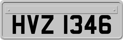 HVZ1346