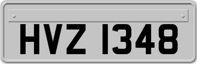 HVZ1348