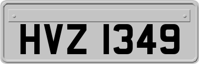 HVZ1349